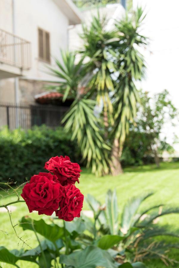 L'Oasi Di Giorgia Bed & Breakfast Cittadella del Capo Ngoại thất bức ảnh