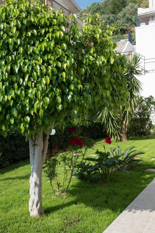 L'Oasi Di Giorgia Bed & Breakfast Cittadella del Capo Ngoại thất bức ảnh